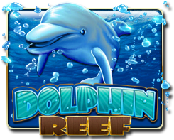 Dolphin Reef